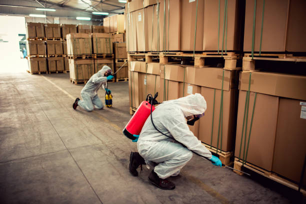 Best Best Pest Control Companies  in Stansbury Park, UT