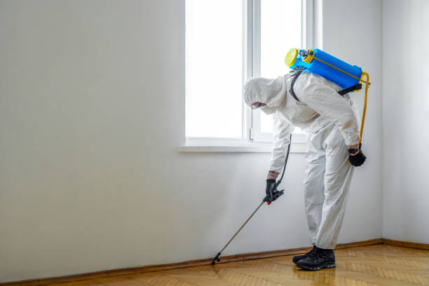 Best Mosquito Control Services  in Stansbury Park, UT