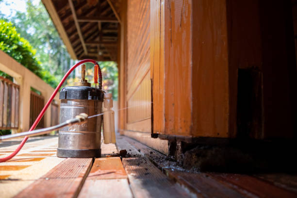 Best Affordable Pest Control Services  in Stansbury Park, UT