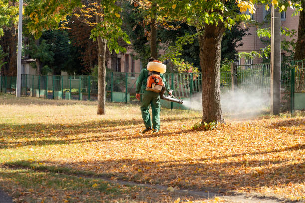 Professional Pest Control in Stansbury Park, UT