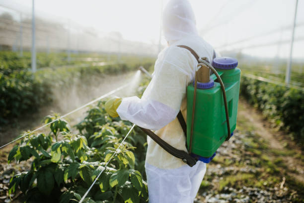 Best Ant Control Services  in Stansbury Park, UT